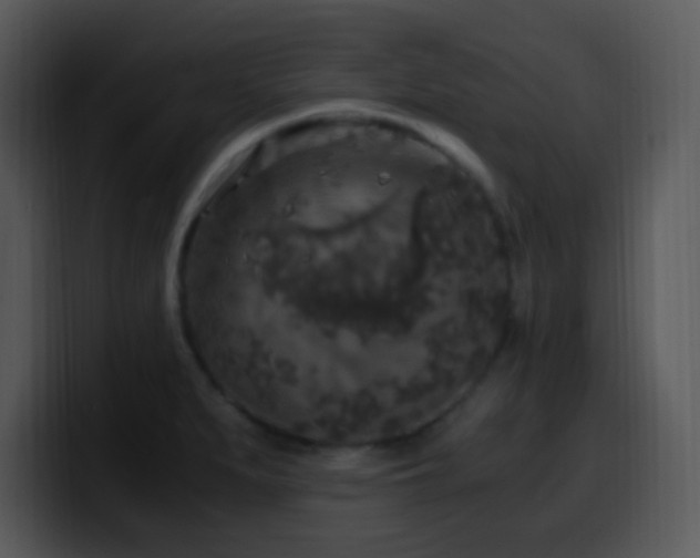 X0000100421279200806061355