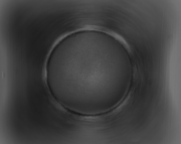 X0000100421280200806061355