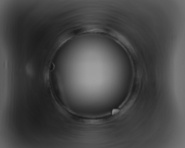 X0000100421281200806061355