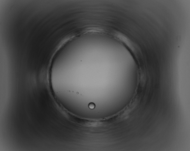 X0000100421282200806061355