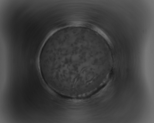 X0000100421283200806061355