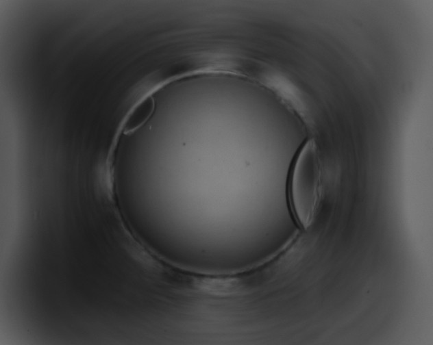 X0000100421284200806061355