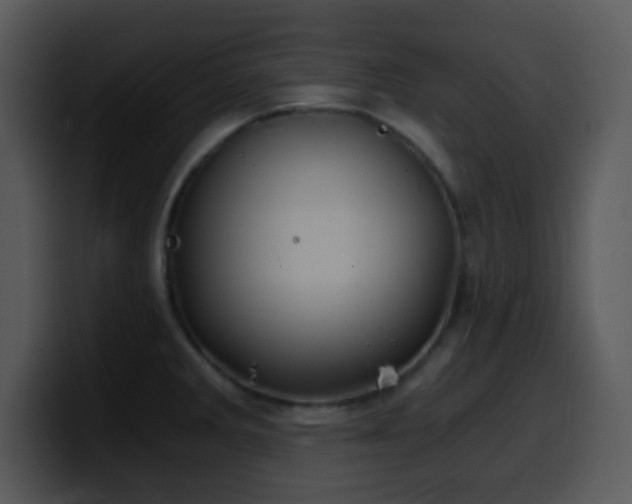 X0000100421285200806061355