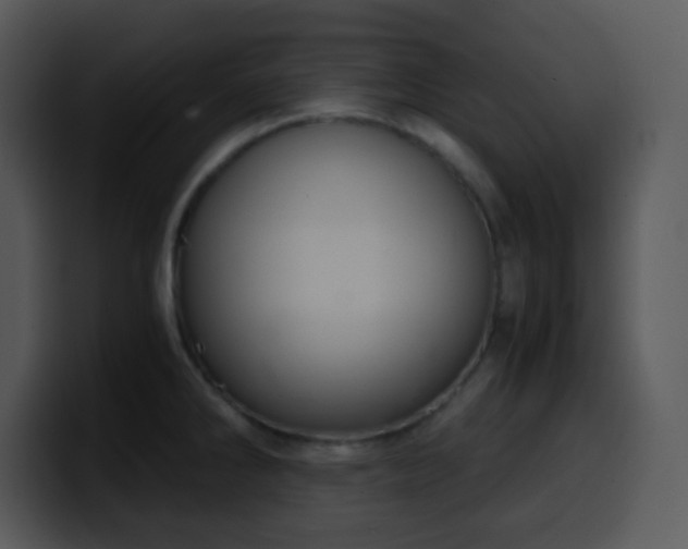 X0000100421286200806061355