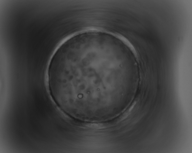 X0000100421287200806061355
