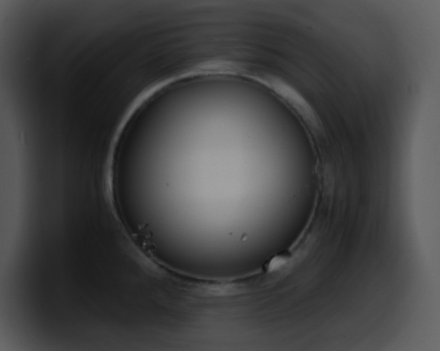 X0000100421288200806061355