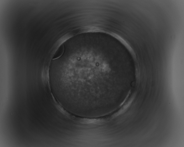 X0000100421289200806061355