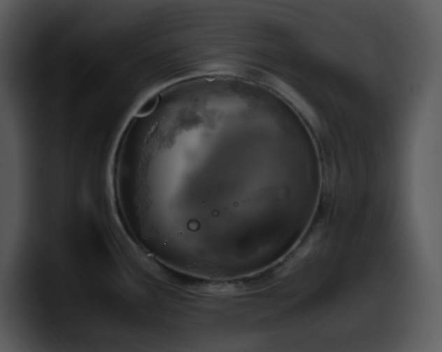 X0000100421291200806061355
