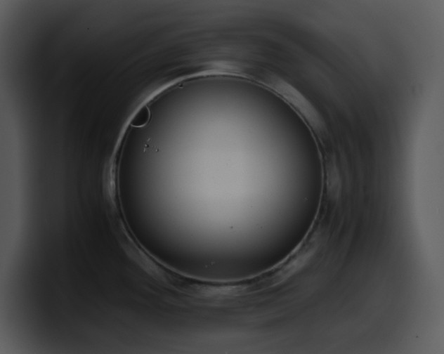 X0000100421292200806061355