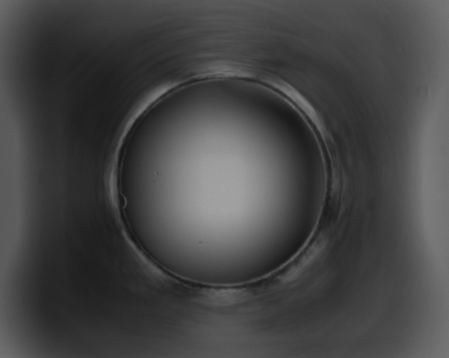 X0000100421293200806061355