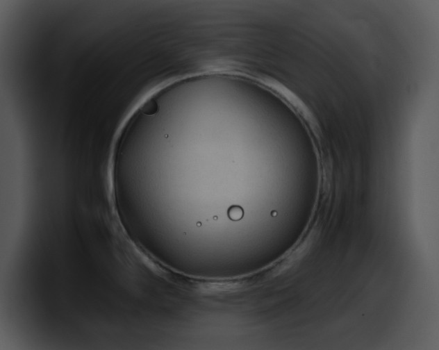 X0000100421294200806061355
