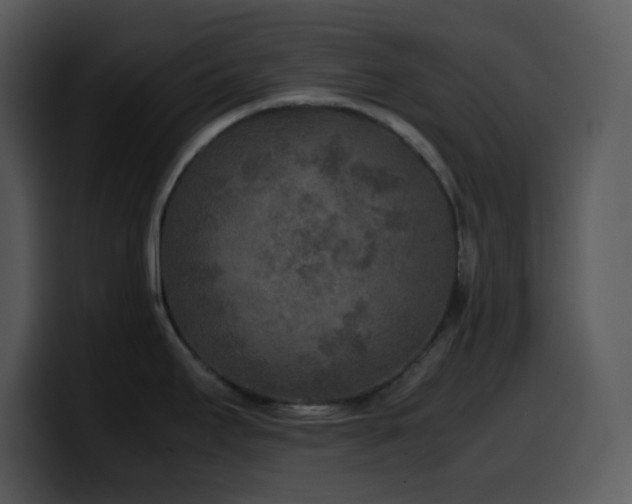 X0000100421295200806061355