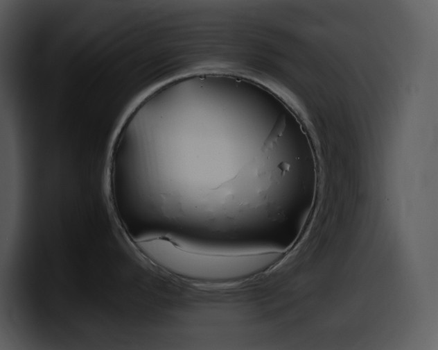 X0000100421296200806061355