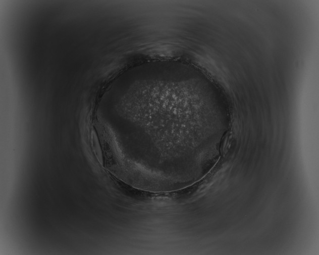 X0000100421297200806061354