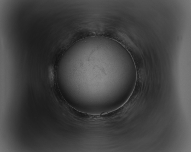 X0000100421298200806061354