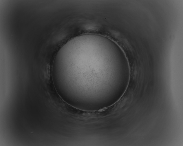 X0000100421301200806061354