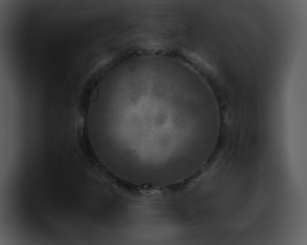 X0000100421302200806061354