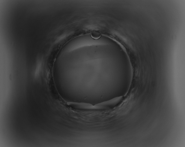 X0000100421303200806061354