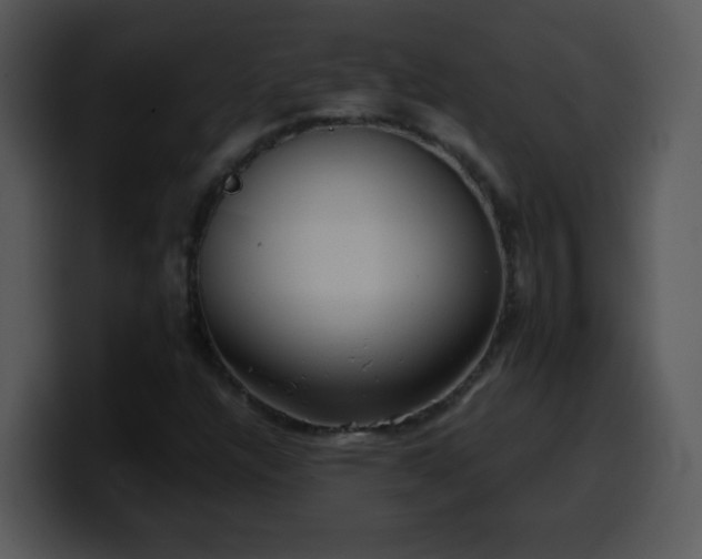 X0000100421304200806061354
