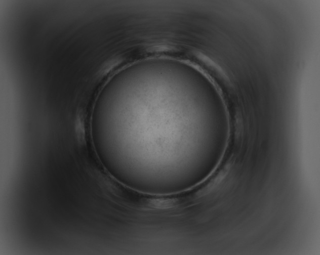 X0000100421305200806061354