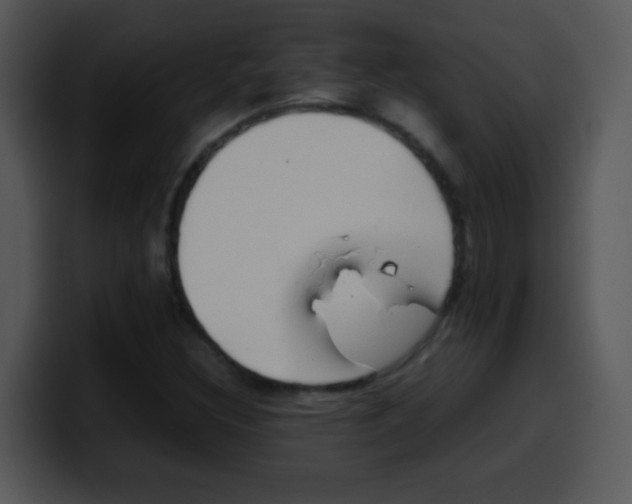 X0000100421308200806061354