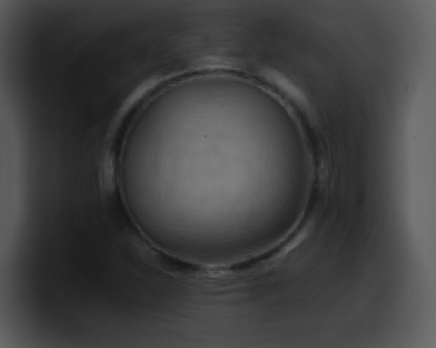 X0000100421310200806061354