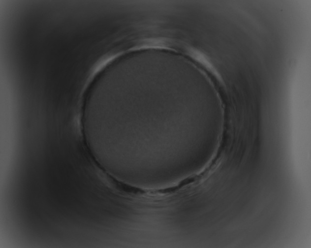 X0000100421312200806061354