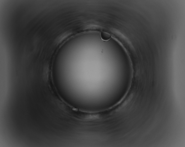 X0000100421313200806061354