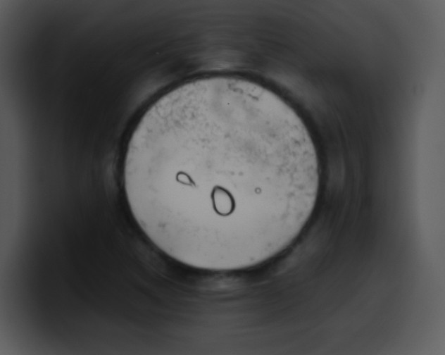 X0000100421314200806061354