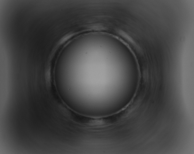 X0000100421315200806061354