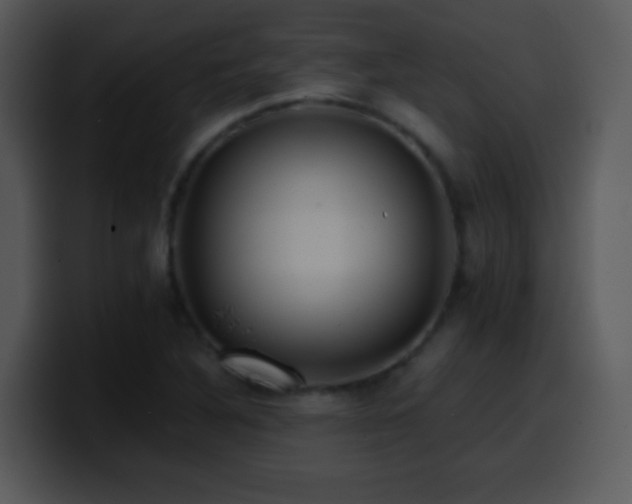 X0000100421316200806061354