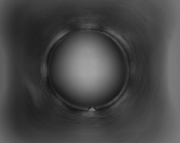 X0000100421317200806061354