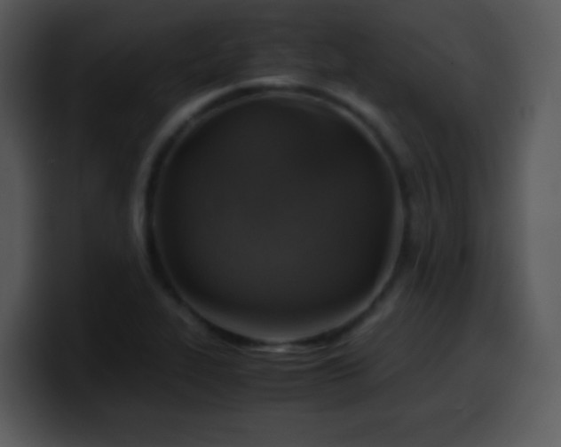X0000100421319200806061354