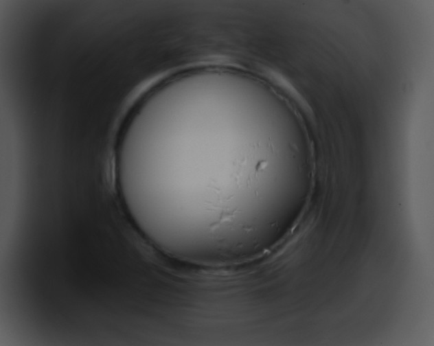 X0000100421320200806061354