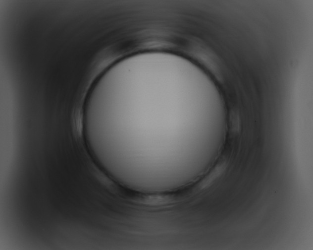 X0000100421322200806061354