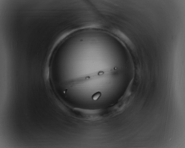 X0000100421324200806061354