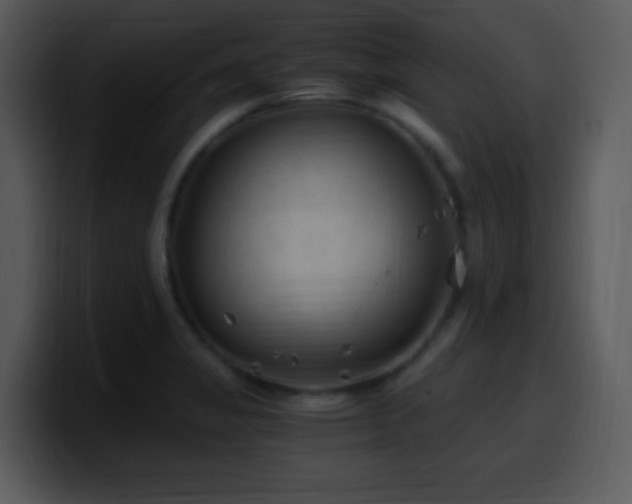 X0000100421325200806061354