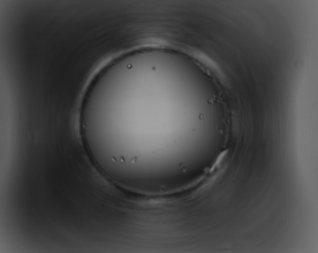 X0000100421326200806061354