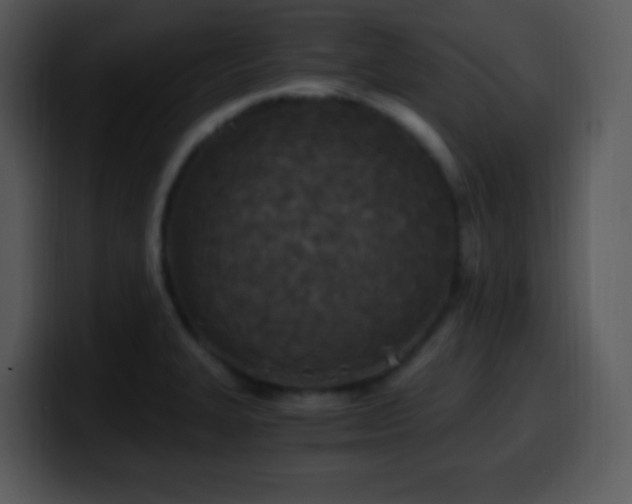 X0000100421327200806061354
