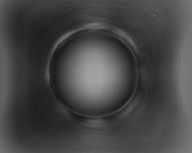 X0000100421328200806061354