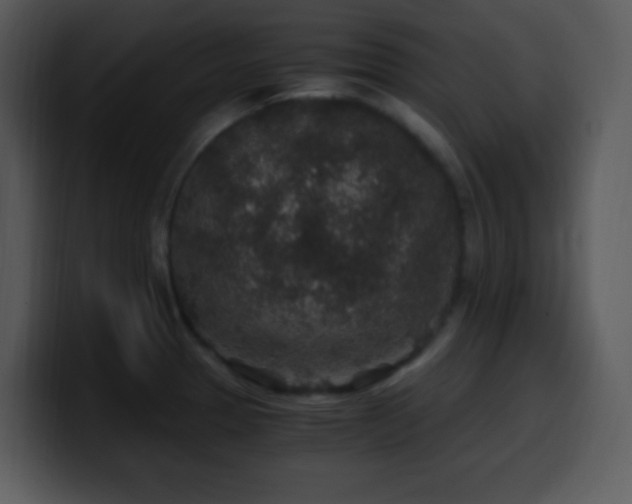 X0000100421329200806061354