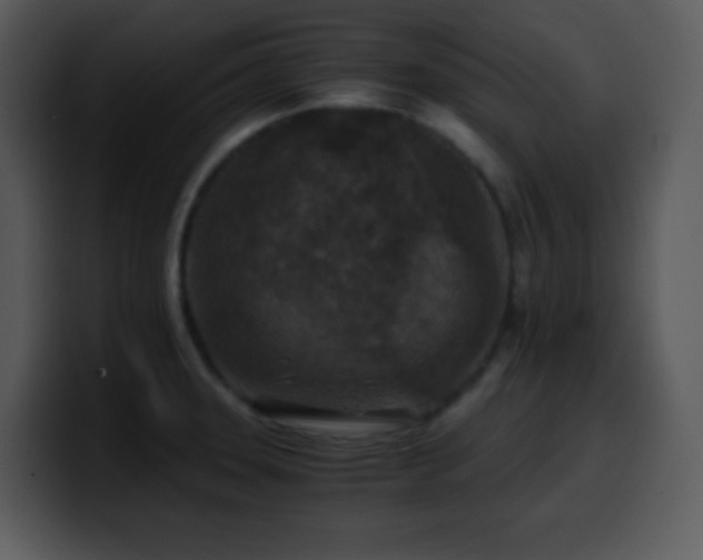 X0000100421331200806061354
