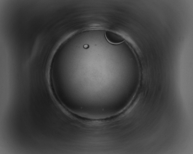 X0000100421333200806061354