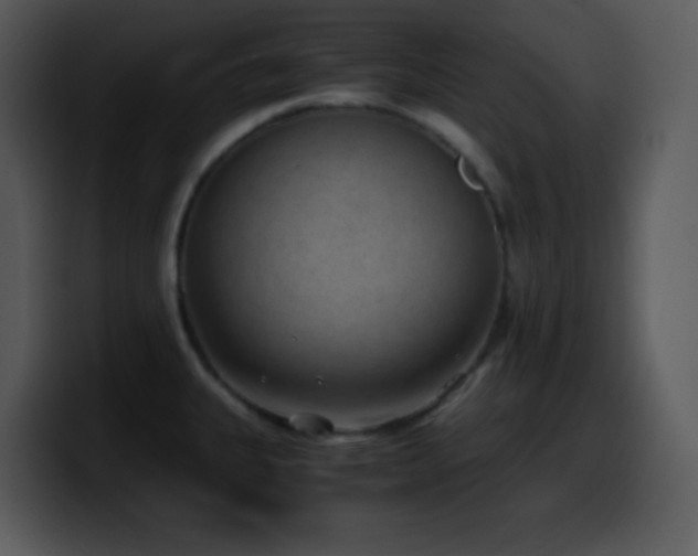 X0000100421335200806061355