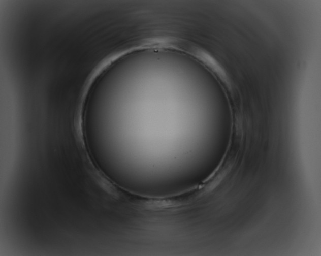 X0000100421336200806061355