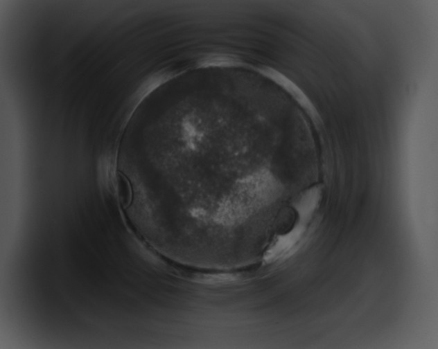X0000100421337200806061355