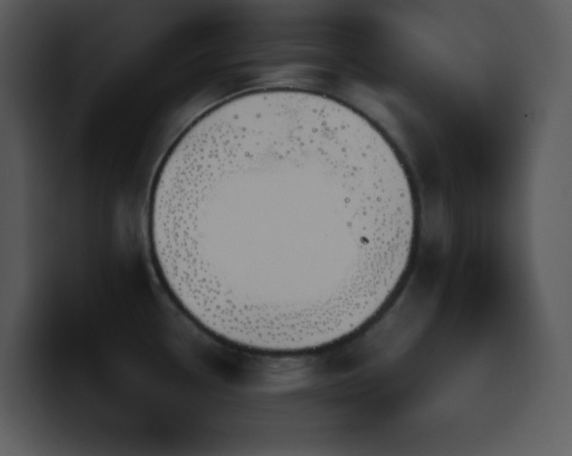 X0000100421338200806061355