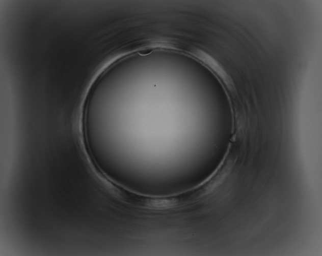X0000100421339200806061355