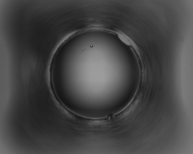 X0000100421341200806061355