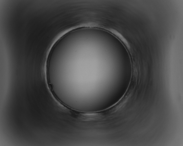 X0000100421343200806061355